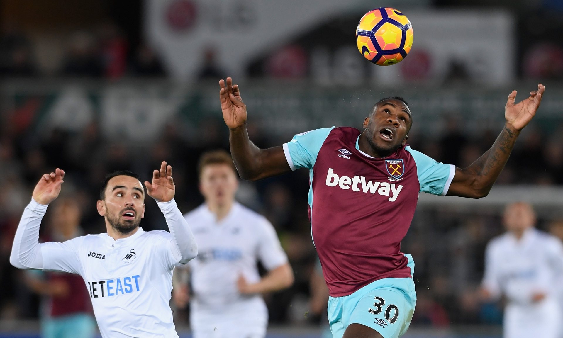 因其丰富的 因其丰富的